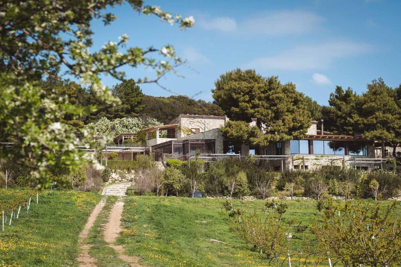 Masseria Agriturismo Torre Di Albidona Trebisacce Bagian luar foto