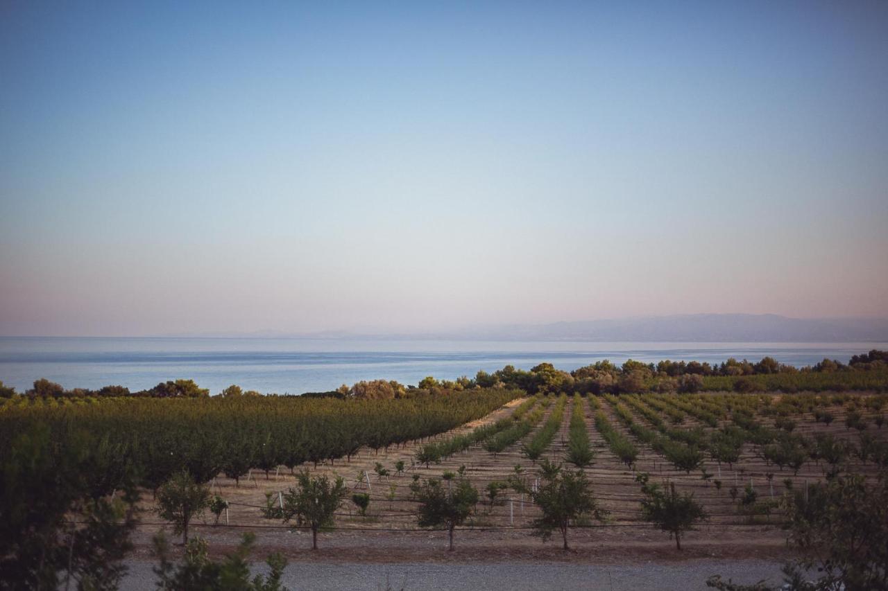 Masseria Agriturismo Torre Di Albidona Trebisacce Bagian luar foto