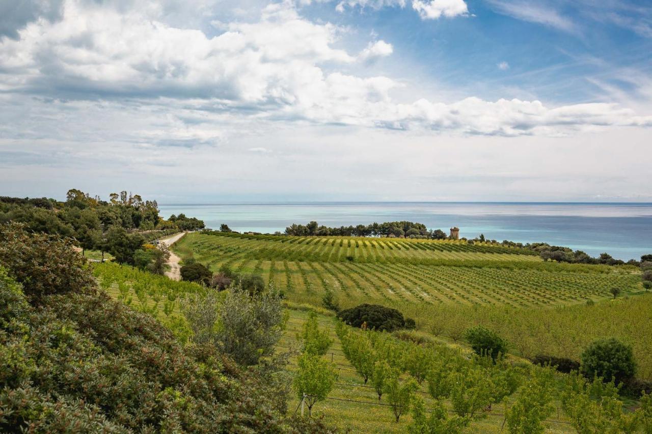 Masseria Agriturismo Torre Di Albidona Trebisacce Bagian luar foto